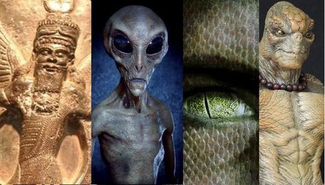 Six Alien Species Are Battling Over Control Of Human Beings And Earth | by Jessica Udaraljka | Medium Reptilian People, Human Puppet, Types Of Aliens, Alien Species, Science Fact, Grey Alien, Unexplained Phenomena, Arte Alien, Ancient Mayan