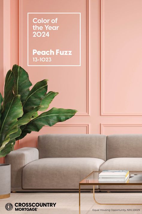 Color of the Year 2024. Peach Fuzz 13-1023. Pantone Color of the Year.