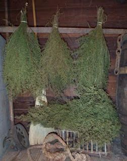 Flower Information, Drying Flowers, Sweet Annie, Herb Gardening, Crafts For Teens To Make, Dried Florals, Dried Herbs, Primitive Decorating Country, Primitive Crafts