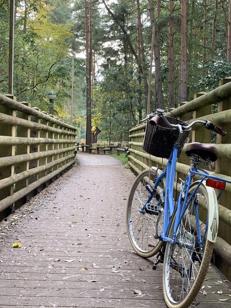 Centre Parcs Elveden, UK Centre Parcs Whinfell, Center Parcs Elveden, Centre Parcs Elveden, Centre Parcs Longleat, Centre Parcs, Bucket List Holidays, Center Parc, Centre Parks, Center Parcs