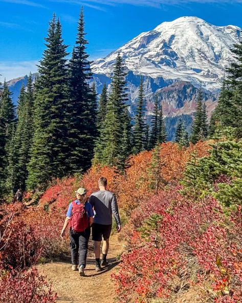 Visit the rugged Pacific Northwest in autumn and surround yourself with golden larches. Find out the 5 best Fall hikes in Washington. These hikes sit in the gorgeous mountain landscapes of Mount Rainier, Mount Baker, and the North Cascades. You will be astounded at the incredible fall foliage in these picturesque landscapes! Get all of the best tips on hiking in Washington in Fall and find out what you can't miss. Pacific Northwest Fall, Pacific Northwest Hiking, Fall Date Ideas, Wine And Paint Night, Fall Hikes, Mount Baker, Washington Hikes, Photo Scavenger Hunt, Fall Dates