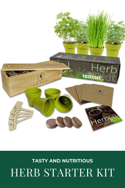 Gardening Kit Gift, Bonsai Kit, Bonsai Fruit Tree, Craft Kits For Adults, Seeds Growing, Eco Friendly Cups, Seed Starter Kit, Herb Garden Kit, Diy Kits For Adults