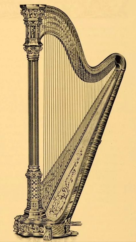 Greek Harp Tattoo, Harp Tattoo Design, Harp Tattoo, Harp Drawing, Harp Aesthetic, Harp Sketch, Harp Illustration, Staircase Tattoo, Irish Aesthetic