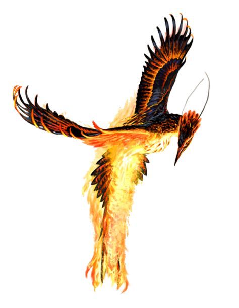 Phoenix - Pathfinder PFRPG DND D&D 3.5 5E 5th ed d20 fantasy Phoenix Dnd, Philippine Mythology, Dnd Stories, Phoenix Art, Dungeons And Dragons Art, D D Monsters, Fantasy Races, Dungeons And Dragons Characters, Creature Feature