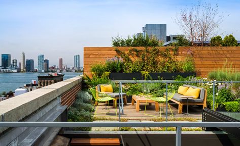 Green Roof Garden, Roof Garden Design, Terrasse Design, Tribeca Loft, Rooftop Terrace Design, Exterior Signage, Rooftop Lounge, Loft Interiors, Rooftop Deck