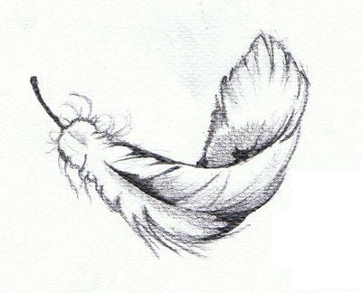 Design | Feather Drawing Feathers Sketches, Swan Feathers Drawing, Raven Feather Drawing, Swan Feather Tattoo, Falling Feather Tattoo, Feather Project, Divergent Tattoo, Feather Sketch, Tattoo Feather