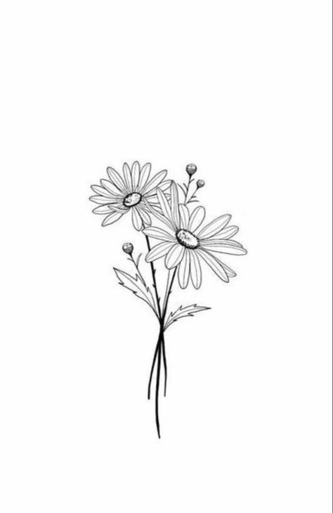 Hase Tattoos, Tattoo Ideas Flower, Aster Tattoo, Aster Flower Tattoos, Gardening Tattoo, Daisy Tattoo Designs, Daisy Drawing, Daisy Flower Tattoos, Bouquet Tattoo