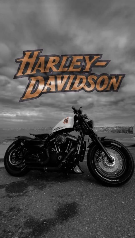 Harley Davidson Sportster Custom Motorcycle 48 Roadking Harley Davidson, Harley Davidson Aesthetic, Harley Sportster 48, Types Of Motorcycles, Harley Davidson 48, Sportster Custom, Harley Davidson Posters, Sportster 48, Harley Davidson Wallpaper