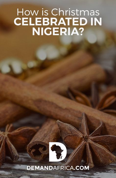 Nigerian Christmas, Nigeria Travel, Nigeria Africa, African Traditions, African Travel, Christmas Menu, Married Christmas, International Travel, Friends And Family