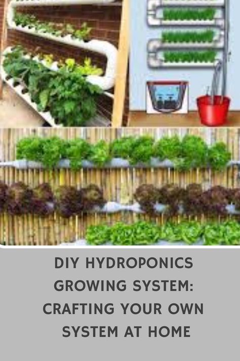 Discover how to create your own DIY hydroponics growing system at home with this easy-to-follow guide. Grow your favorite plants indoors without soil using simple materials and techniques. Enhance your gardening skills and enjoy fresh produce year-round right in the comfort of your own home. Start your hydroponic journey today! Small Indoor Hydroponics System Diy, Hydroponics Diy Indoor, Diy Hydroponics System, Indoor Hydroponics System, Hydroponic Gardening For Beginners, Plants Without Soil, Hydroponics Setup, Hydroponic Gardening Diy, Diy Hydroponics