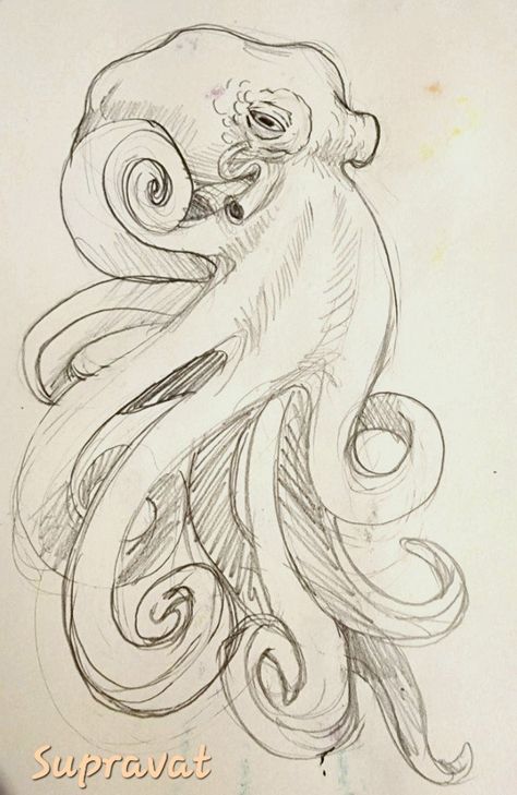 Art Sketches Pencil Animals, Octopus Drawing Pencil, Aesthetic Octopus Drawing, Octopus Drawings Simple, Sketches Of Octopus, Drawing Ideas Octopus, Octopus Sketch Drawings, Sketches Of Sea Animals, Octopus Drawing Reference