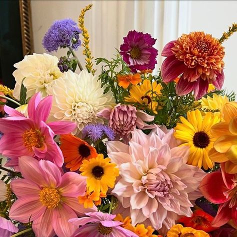 Andrew Pascoe on Instagram: "“As long as Autumn lasts, I shall not have enough hands, canvas and colors enough to paint the beautiful things I see.”
Vincent Van Gogh
#dahlias#cosmos#ageratum#nasturtium#calendula
#maidenhairfern#goldenrod#davidaustinrose#tagettes
#gardenglory#autumnglory#heavenlyday" Autumn Flowers Aesthetic, Autumn Flowers, Flowers Aesthetic, Vincent Van, Fall Flowers, Vincent Van Gogh, Beautiful Things, Dahlia, Van Gogh