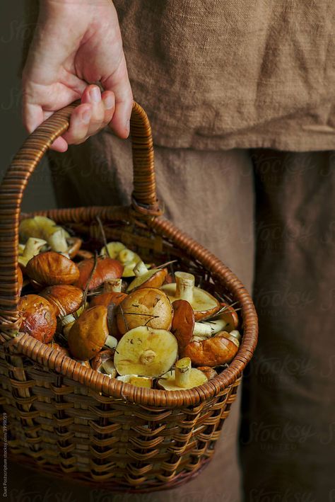 Basket Of Mushrooms, Mushroom Wicker Basket, Mushroom Basket, Mushroom Cottage, Harvest Basket, Food Basket, Summer Rain, Wild Mushrooms, Wicker Baskets