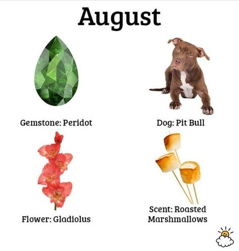 August Birthday Quotes, Birth Month Symbols, Birth Month Quotes, Birth Symbols, Month Animals, August Baby, College Life Hacks, August Born, August Birthday