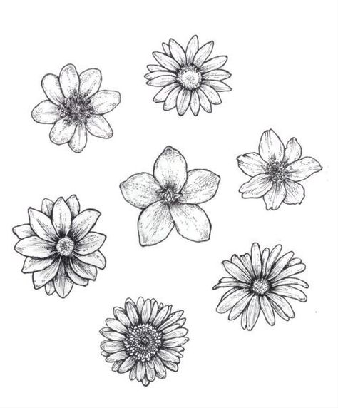 https://brightercraft.com/2018/11/09/25-beautiful-flower-drawing-ideas-inspiration/ Flower Drawing Ideas, Easy Flower Drawings, Pencil Drawings Of Flowers, Beauty Drawings, Beautiful Flower Drawings, Flower Drawing Design, Flower Art Drawing, Artist Sketches, Flower Sketches