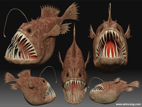 Angler Fish Reference, Fish With Light On Head, Ocean Fish Photography, Deep Ocean Fish, Angler Fish Photography, Creepy Fish, Angler Fish Art, Ocean Abyss, Fish Monster