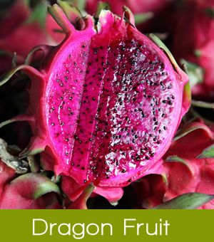 Dragon Fruit Cactus, Pink Dragon Fruit, High Fiber Fruits, Buah Naga, Fruit Du Dragon, Thanh Long, Blooming Cactus, Fruits Images, Pink Dragon