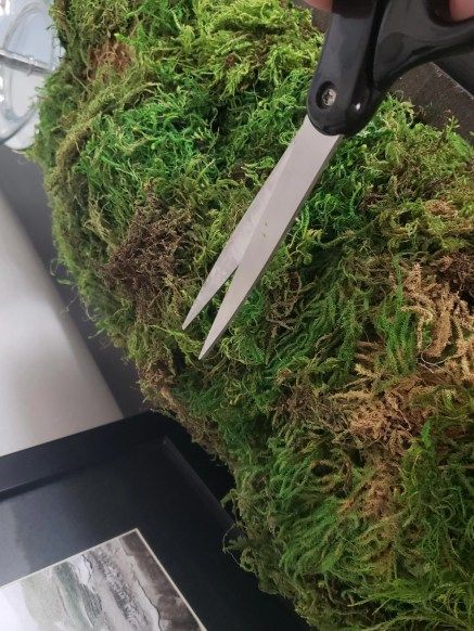 How To Make a Moss Bowl - A High End Look - East Third Street Moss Planters Indoor, Moss Dough Bowl, Small Dough Bowl Decor, Decorating With Moss, Moss Centerpieces Dining Room, Moss Bowl Centerpiece, Moss Bowl Diy, Moss Bowl Centerpiece Diy, Moss Centerpieces Diy