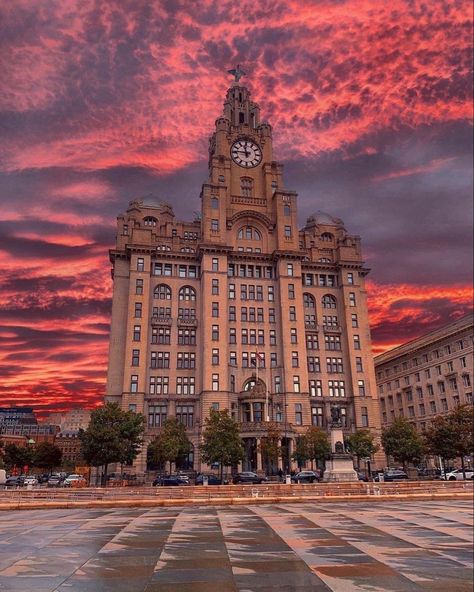 St Georges Hall, Liverpool Town, England Aesthetic, Planet Coaster, University Of Liverpool, Male Doctor, Liverpool City, Liverpool England, Uni Life