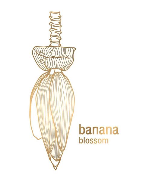 vector golden banana blossom on a white background Banana Blossom, White Blossom, Restaurant Ideas, Background Background, Vector Drawing, White Background, Vector Free, Blossom, Clip Art