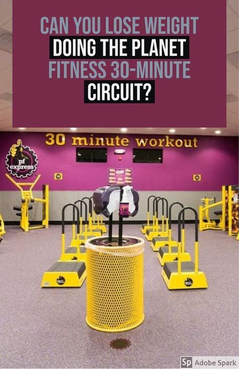 Planet Fitness Beginner Workout Plan, Planet Fitness Machine Workout Plan, Workouts For Planet Fitness Gym, Beginner Planet Fitness Workout, Planet Fitness Circuit Workout, Planet Fitness Workout Plan Machines, Planet Fitness Workout Plan For Women Losing Weight, Planet Fitness Workout For Beginners, Planet Fitness 30 Minute Circuit