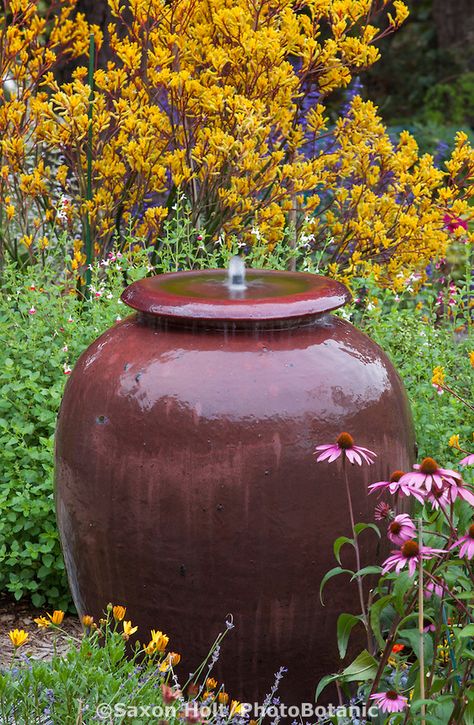 Urn water fountain in California garden bed with yellow flower Anigozanthos 'Harmony' Garden Library, California Native Plants, Native Plant Gardening, California Garden, Wildflower Meadow, Santa Ynez, Live Oak, Botanic Garden, Garden Bed