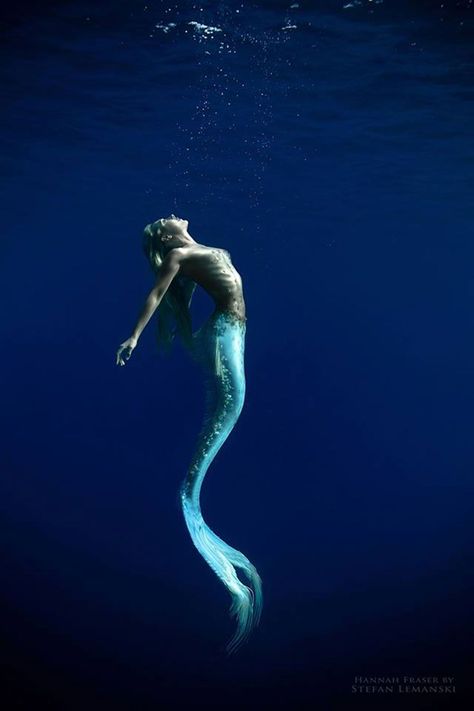 Azure Aesthetic, Siren Energy, Professional Mermaid, Mermaid Photography, Mermaid Artwork, Frida Art, Fantasy Mermaids, Mermaid Photos, Under The Water