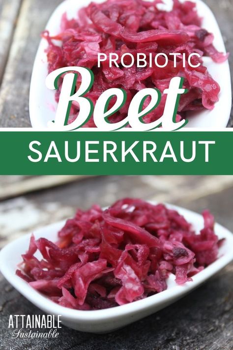 Red Cabbage Sauerkraut, Sauerkraut Meals, Fermented Vegetables Recipes, Pickled Red Cabbage, Fermented Sauerkraut, Sauerkraut Recipe, Homemade Sauerkraut, Fermented Veggies, Sauerkraut Recipes