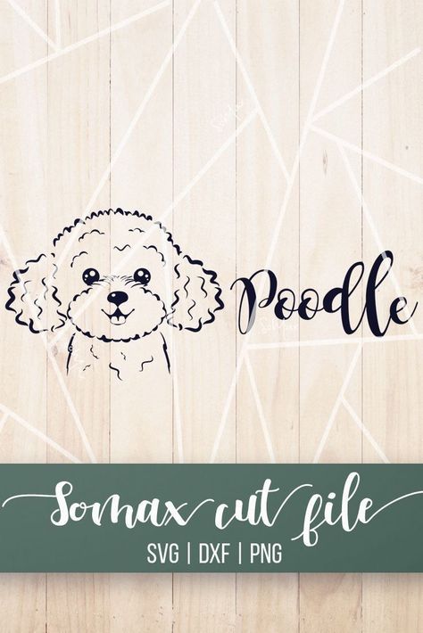 Poodle Clipart, Poodle Silhouette, Dog Glasses, Poodle Mom, How To Use Cricut, French Poodle, Dog With Glasses, French Bulldog Gifts, French Poodles