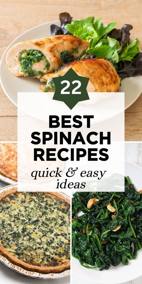 Unleash the power of greens with our collection of 22 best spinach recipes! These quick and easy ideas are perfect for incorporating more spinach into your meals, from fresh salads to savory sautés. Click to explore a variety of dishes, including creamy spinach dip, nutritious spinach smoothies, and hearty spinach and cheese stuffed shells, all designed to make spinach the star of your plate. Easy Spinach Dinner Recipes, Dinner Recipes Using Fresh Spinach, Recipes That Use A Lot Of Spinach, Ways To Use Fresh Spinach, Dinner Ideas Spinach, Spinach Puree Recipes, Lunch Ideas With Spinach, Recipes With Baby Spinach, Fresh Spinach Recipes Easy Healthy