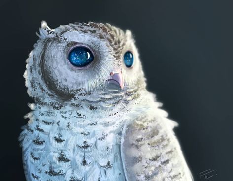 Universe in the Eyes. This is inspired by Zeus, the blind owl which has the stars in its eyes...and it's one of the most beautiful owls… Ibispaint Art, Snow Owls, Blind Owl, Beautiful Owls, Owl Bags, Galaxy Eyes, Felt Owls, Owl Photos, Owl Eyes