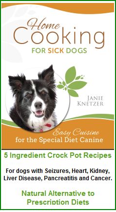 Herbs for Dogs: Learn To Safely Use Herbal Products for Pets Cat Diseases, Make Dog Food, Special Diet, Sick Dog, Dog Nutrition, Healthy Dog Food Recipes, Pet Wellness, Special Diets, Dog Treat Recipes