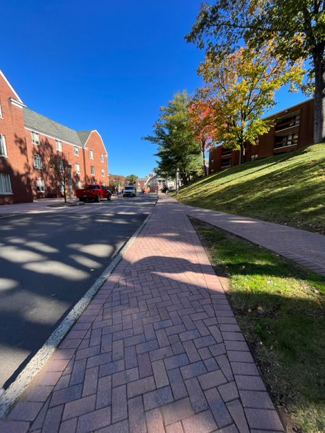 Pretty campus University Campus Aesthetic, University Aesthetic Campus, Ucsd Campus Aesthetic, Uiuc Campus, Prettiest College Campuses, Quinnipiac University, College List, University