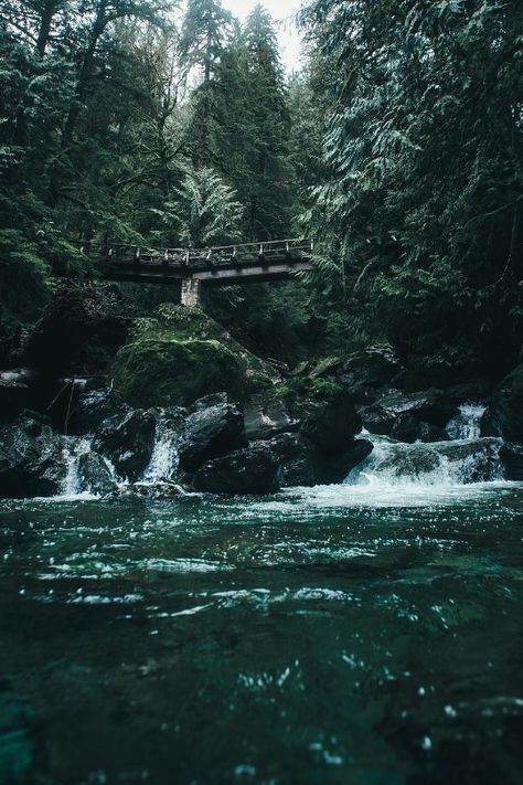 Dark Naturalism Aesthetic, Paradis Sombre, Dark Naturalism, Dark Forest Aesthetic, Green Pictures, Dark Green Aesthetic, Slytherin Aesthetic, Parc D'attraction, Green Arrow