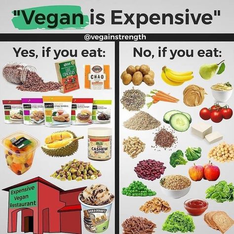 Going vegan does not have to be expensive. Vegan Facts, Vegetarian Lifestyle, Why Vegan, Go Vegan, Vegan Nutrition, Vegan Fitness, Vegan Restaurants, Foods To Avoid, Vegan Foods