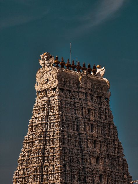 Free The Thiruchendur Murugan Temple in Tamil Nadu, India Stock Photo Murugan Kovil Temple, Tamil Nadu Aesthetic, Thiruchendur Murugan Hd Wallpaper, Thiruchendur Murugan Temple, Thiruchendur Murugan, Tamil Aesthetic, Temple Aesthetic, Murugan Temple, Shiva Mantra