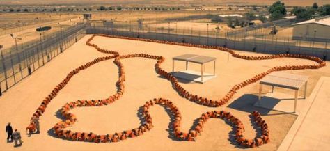 Human Centipede 3 trailer: So this is what a 500-person centipede looks like (predictably horrible) - Films - Arts and Entertainment - The Independent The Human Centipede, Human Centipede, Movie Pins, Cult Movies, Red Band, Movie Photo, Halloween Horror, Scary Movies, Screen Shot