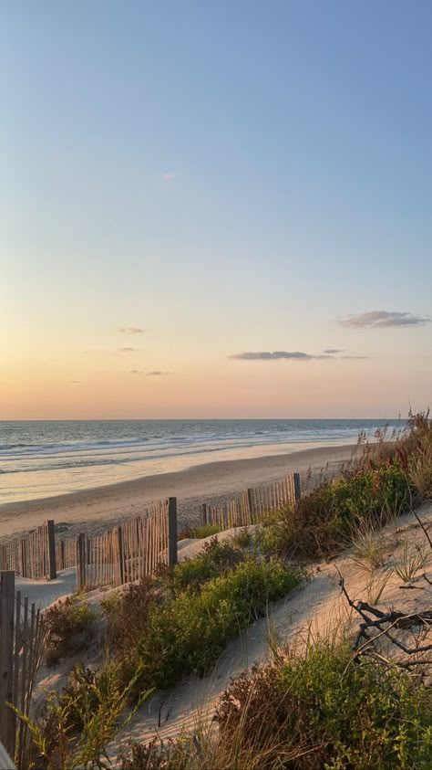 Beach Dunes, The Outer Banks, Sand Dunes, Outer Banks, The Ocean, Banks