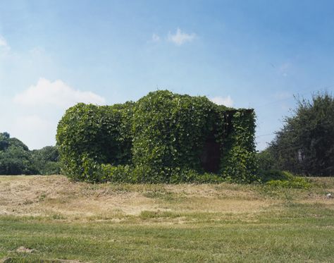 S William Christenberry, Lee Friedlander, Modern And Contemporary Art, Colour Photograph, Back To Nature, Film Stills, Magazine Art, Art Google, Color Photography