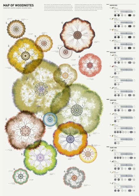 infographics, Organic Data Visualization, Creative Data Visualization Art, Sound Data Visualization, Data Visualisation Art Design, Data Art Visualization, Visual Data Design, Data Visualization Design Creative, Sound Visualization Design, Data Visualization Art