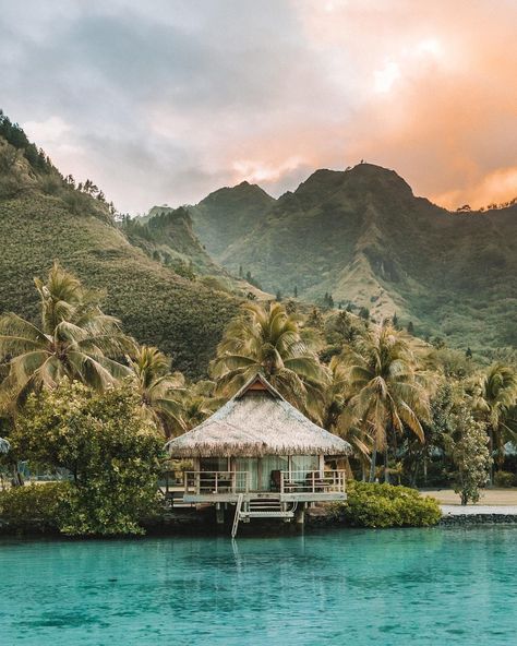 Madeline Lu | Content Creator on Instagram: “Tahiti(Bora Bora) or Maldives? 💦 People often asked me which one I like more and what are the differences. Well, both are dream beach…” Tiny Beach House, Tahiti French Polynesia, Best Honeymoon Destinations, Another Day In Paradise, Beach House Design, Dream Beach, French Polynesia, Bora Bora, Love Is In The Air