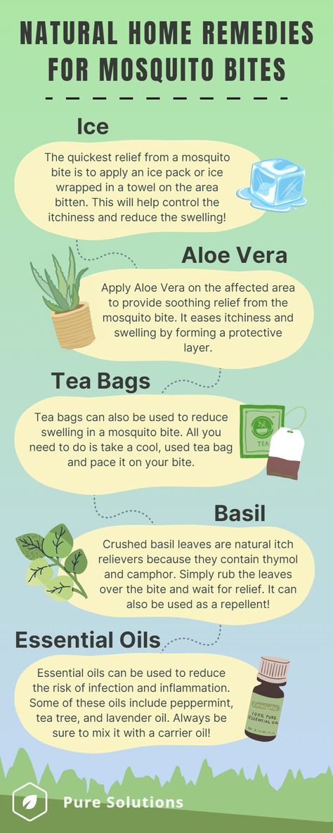 Remedies For Mosquito Bites, Mosquito Bites, Mosquito Bite, Natural Home, Natural Home Remedies, Home Remedies, Bugs, Benefits, Bugs And Insects