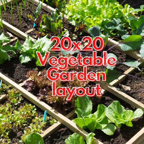 Create A Lush 20x20 Vegetable Garden layout With This Step-By-Step Guide Fruit Garden Layout, Vegetable Garden Layout, Squash Plant, Garden Organization, Types Of Beans, Cucumber Plant, Garden Layout Vegetable, Types Of Vegetables, Pepper Plants