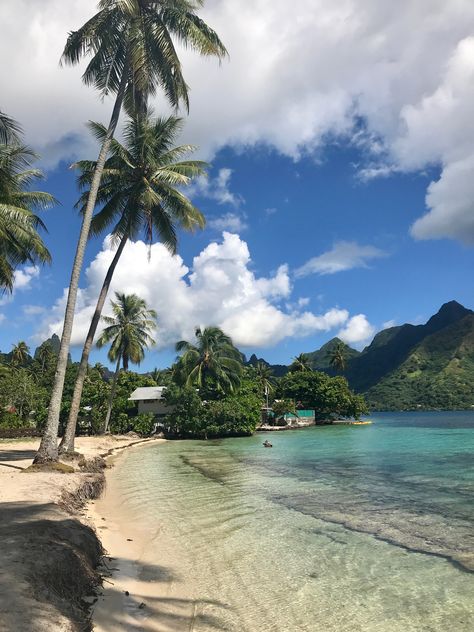 French Polynesia Aesthetic, Polynesia Aesthetic, Tahiti Aesthetic, Hawaii Friends, Outfit Y2k Aesthetic, Old Money Coastal, Thrift Outfits, Outfit Inspo Vacation, Moorea Island