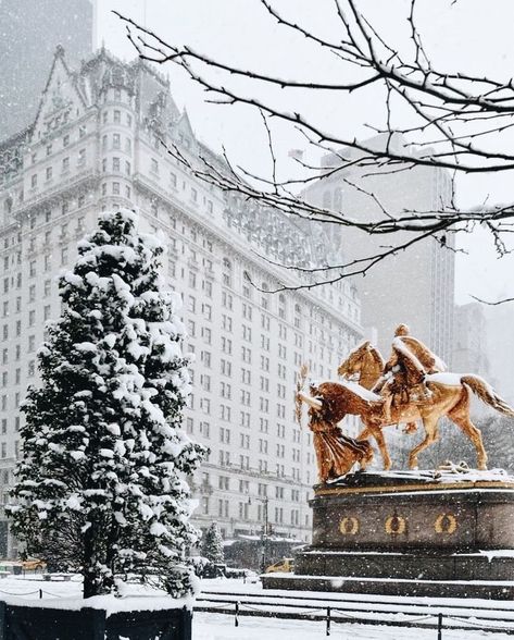 winter time Natal, The Plaza Hotel Nyc, Hotel Secrets, Lake George Village, Nyc Hotels, Plaza Hotel, Lake George, Aesthetic Pics, The Plaza