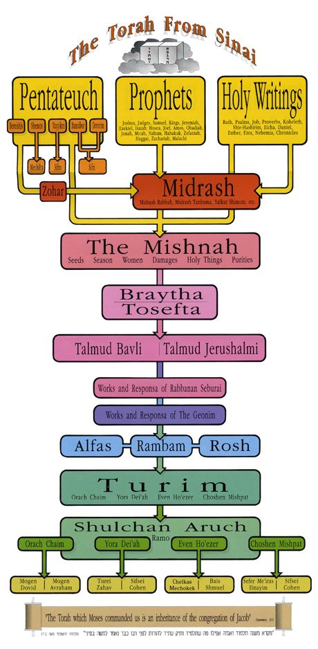 The Torah from Sinai - A Diagram - Shavuot Sabbath Quotes, Aviation Education, Torah Study, Simchat Torah, Hebrew School, The Torah, Hebrew Language, Bible Illustrations, New Bible