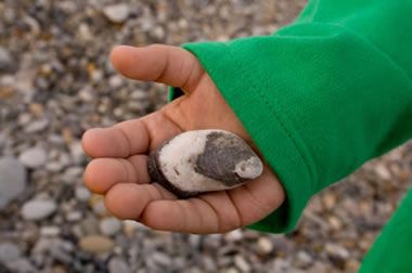 Identifying Rocks is HARD! (Even for geologists) Rock Experiments, How To Identify Rocks, Collecting Rocks, Rock Identification, Rock Tumbling, Rocks And Fossils, Rock Hunting, My Rock, Geology Rocks