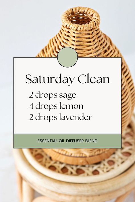 Try these sage essential oil blends that reflect a journey through the Taos Mountain range and the artistic haven of Sante Fe, New Mexico. 🏞️✨ These blends will ground, purify and help you to be creatIve while echoing the essence of the desert. Try Saturday Clean for a fresh smelling home! Essen, Sante Fe New Mexico, Healing Salve, Essential Oil Combinations, Essential Oil Diffuser Blends Recipes, Young Living Essential Oils Recipes, Essential Oils Guide, Essential Oils Cleaning, Sage Essential Oil