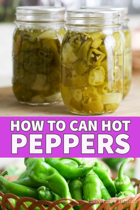 Use this tutorial to can any type of hot peppers. This is a basic way to can hot peppers at home. Canning peppers is a great way to preserve them! Canned Hot Peppers Recipes, Can Hot Peppers, Preserving Peppers, Canning Hot Peppers, Canning Peppers, Hot Pepper Recipes, Preserving Vegetables, Easy Canning, Pressure Canning Recipes