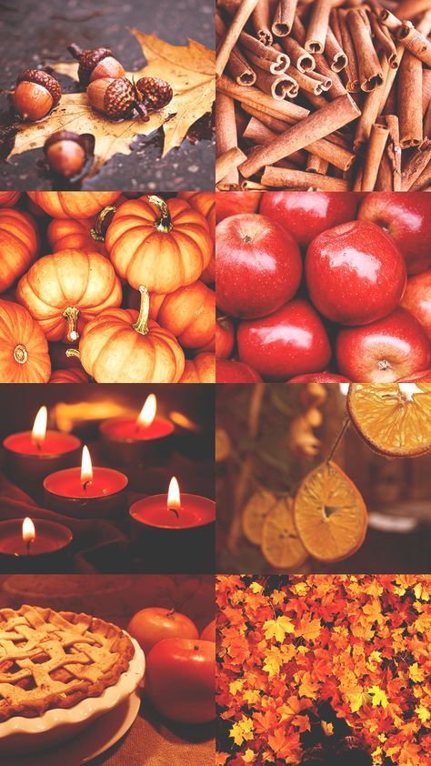 "Mabon aesthetic" By- Tumblr.com/aesthetic-life-pastel-dreams Mabon Aesthetic Wallpaper, Mabon Wallpaper, Mabon Illustrations, Mabon Aesthetic, Autumn Altar, Solitary Mabon Ritual, Mabon Crystal, Mabon Altar, Fall Pottery